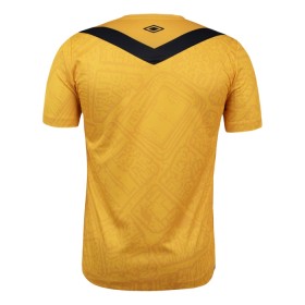 Goedkope Santos FC Third Shirt 2024-25